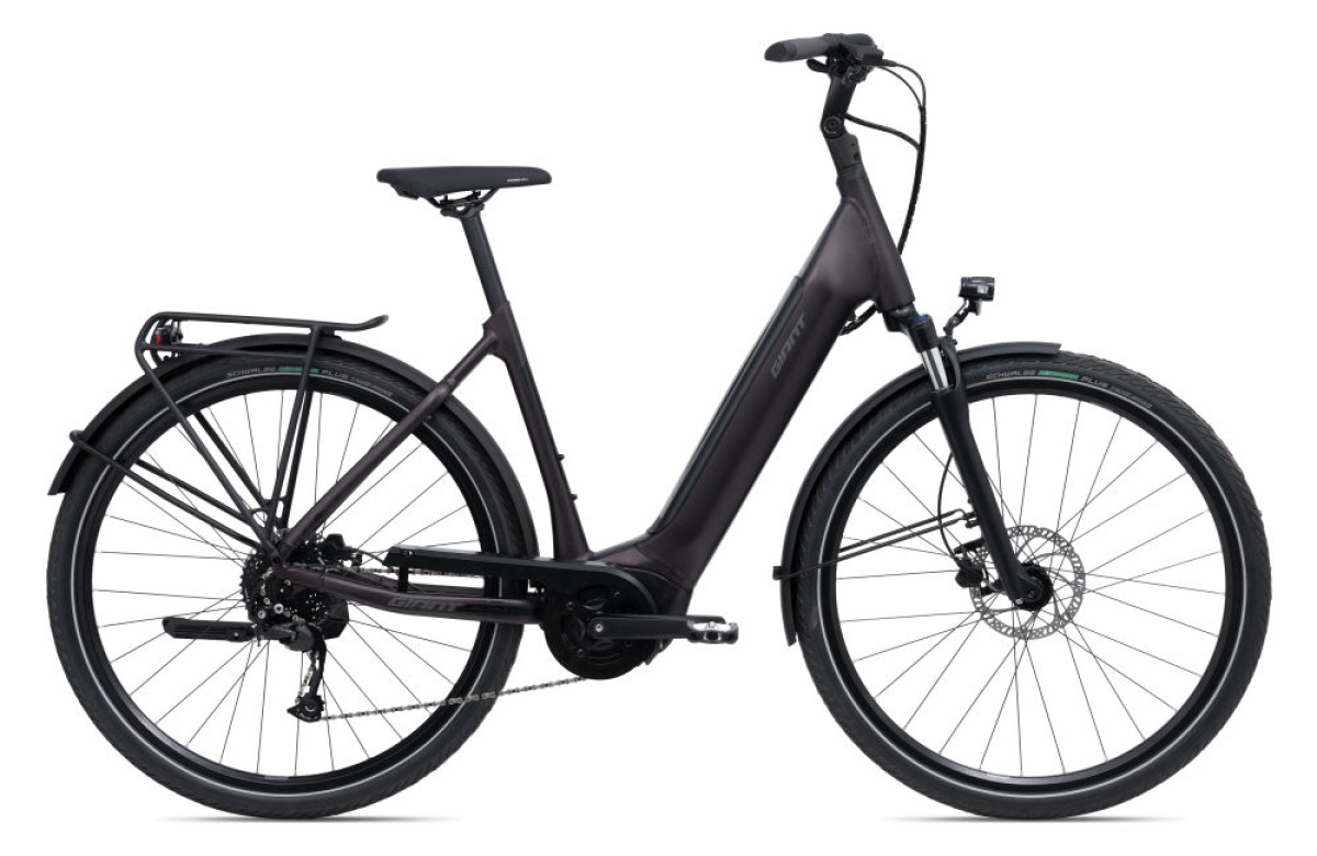 DailyTour E+ 3 LDS 25km/h L Rosewood